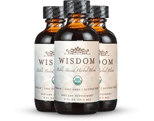 Wisdom Supplement 3 bottle popular pack — 12% discount